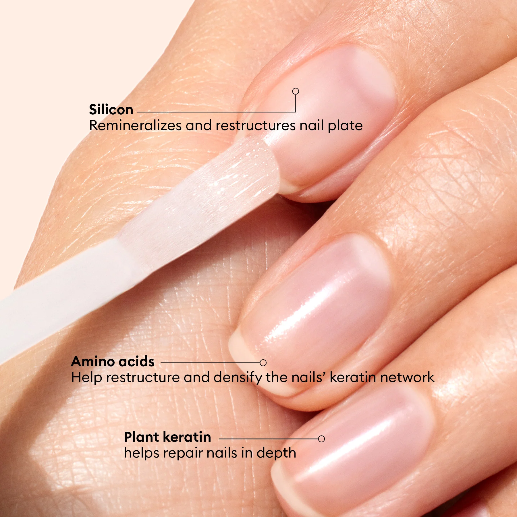 Bitter Polish - Image 3