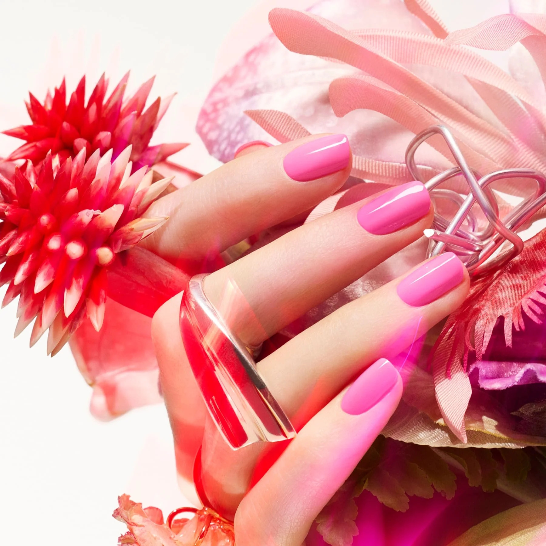 Bloom - Image 3