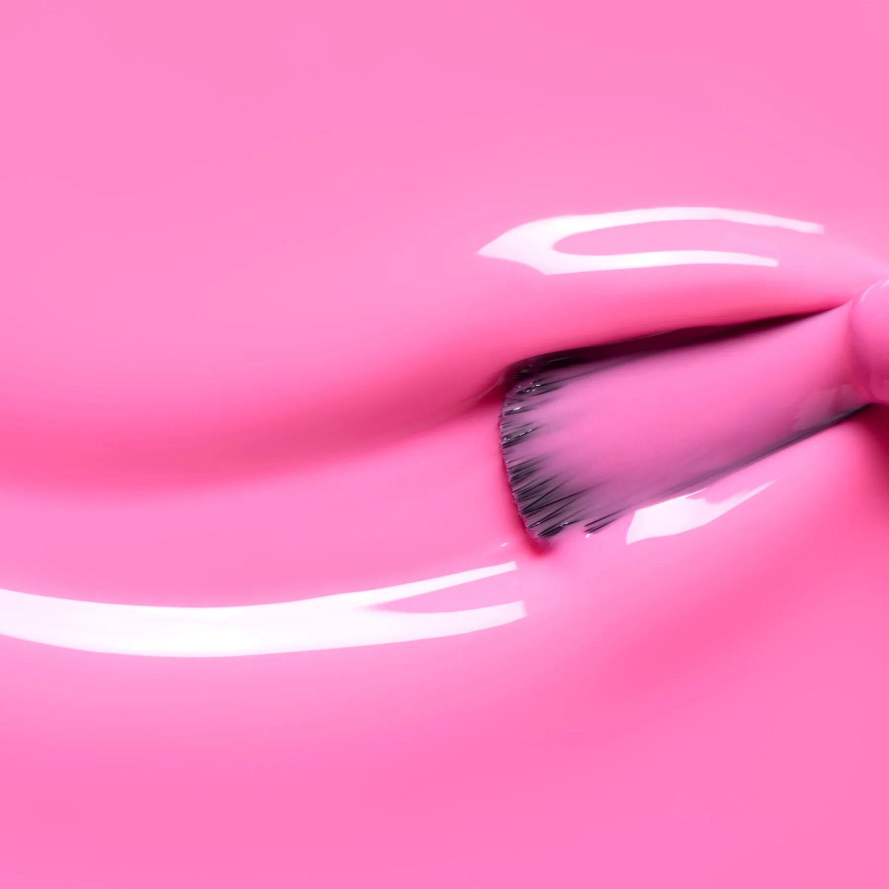 Bloom - Image 4