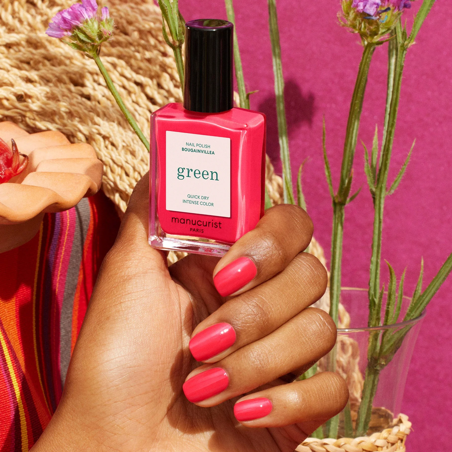 Bougainvillea - Image 5