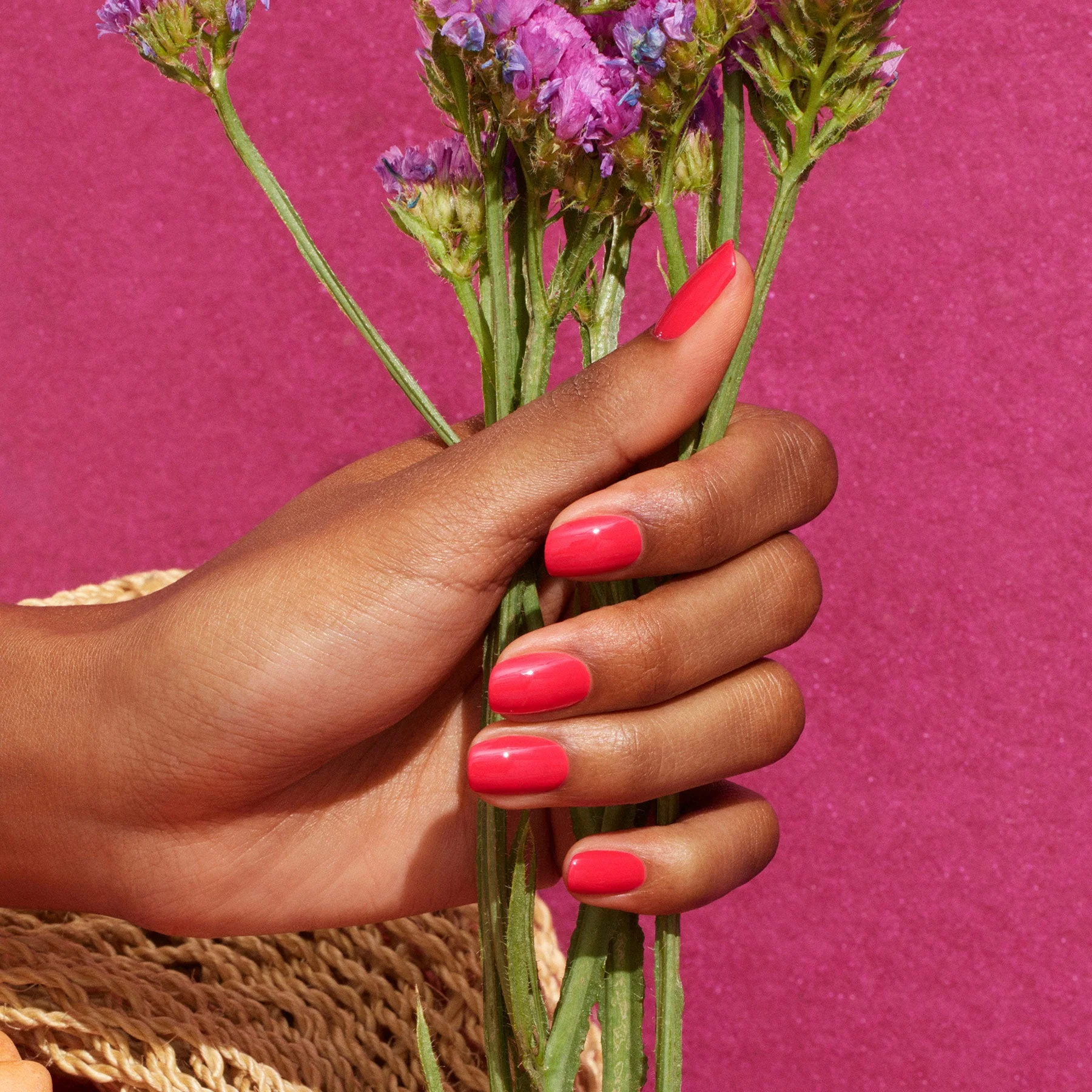 Bougainvillea - Image 9