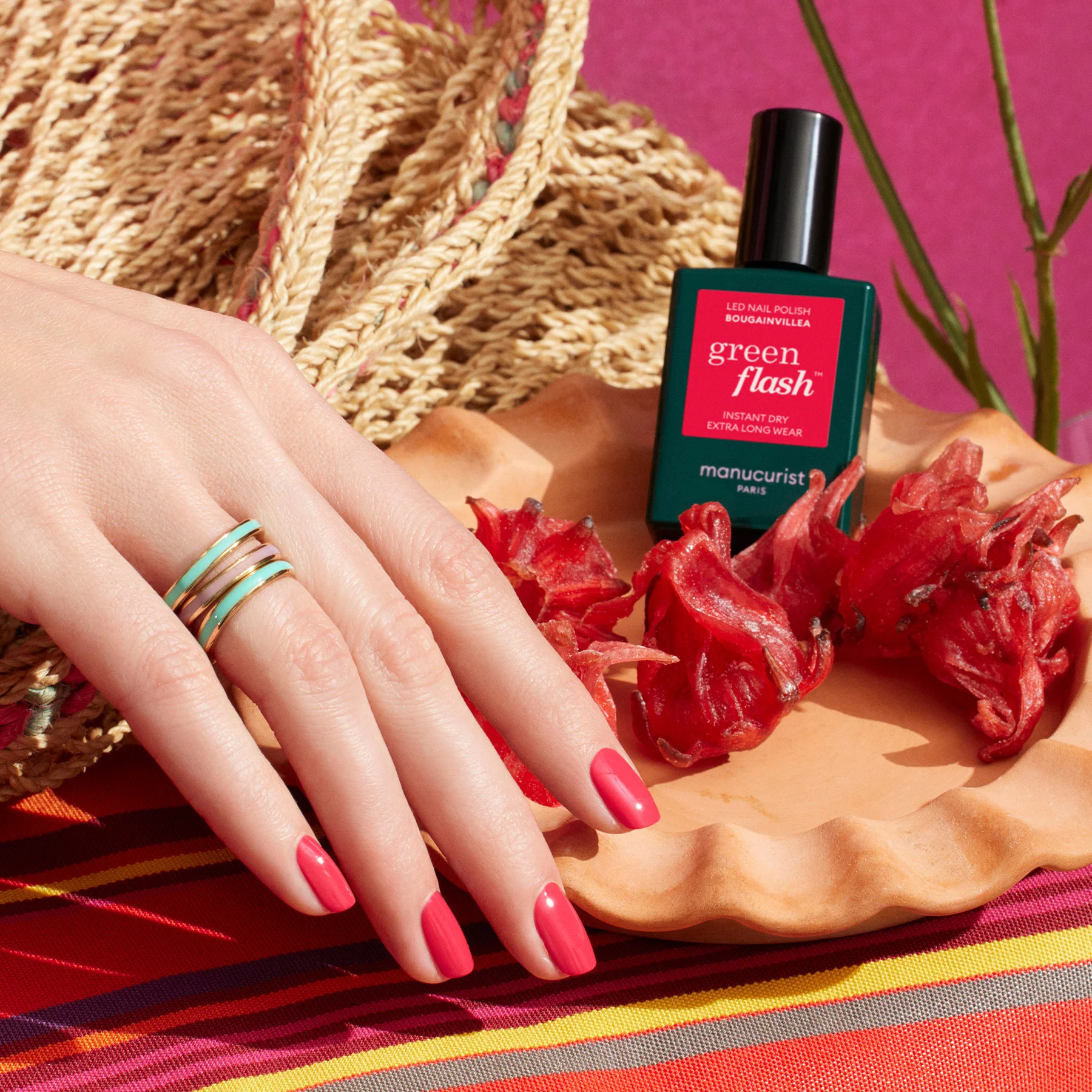 Bougainvillea - Image 2