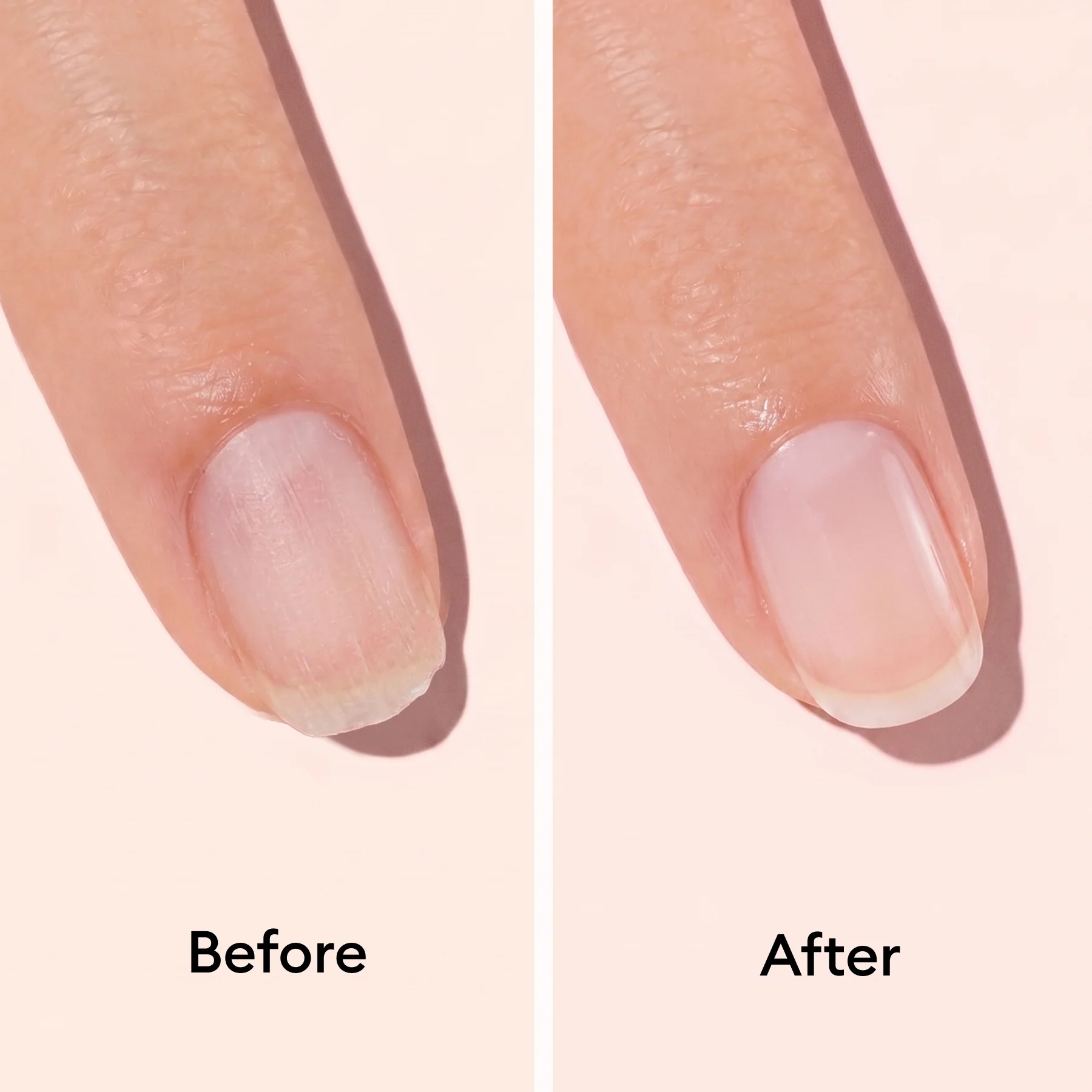 Day & Night Duo - Image 4