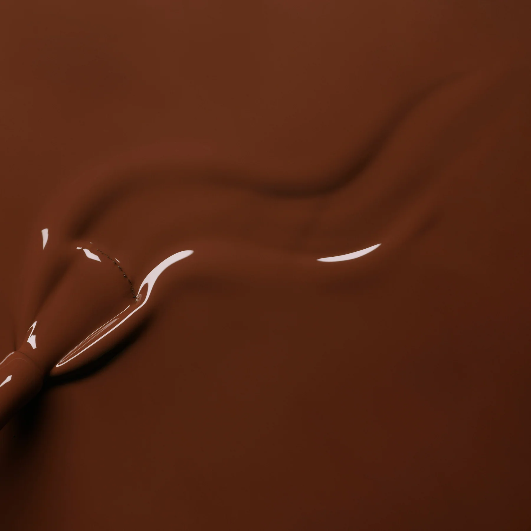 Chestnut - Image 4