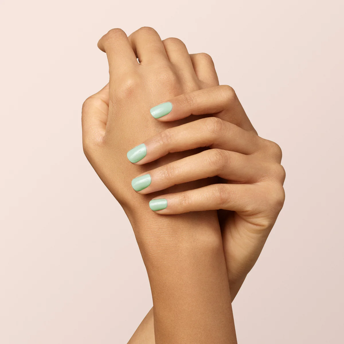 Mint - Image 6