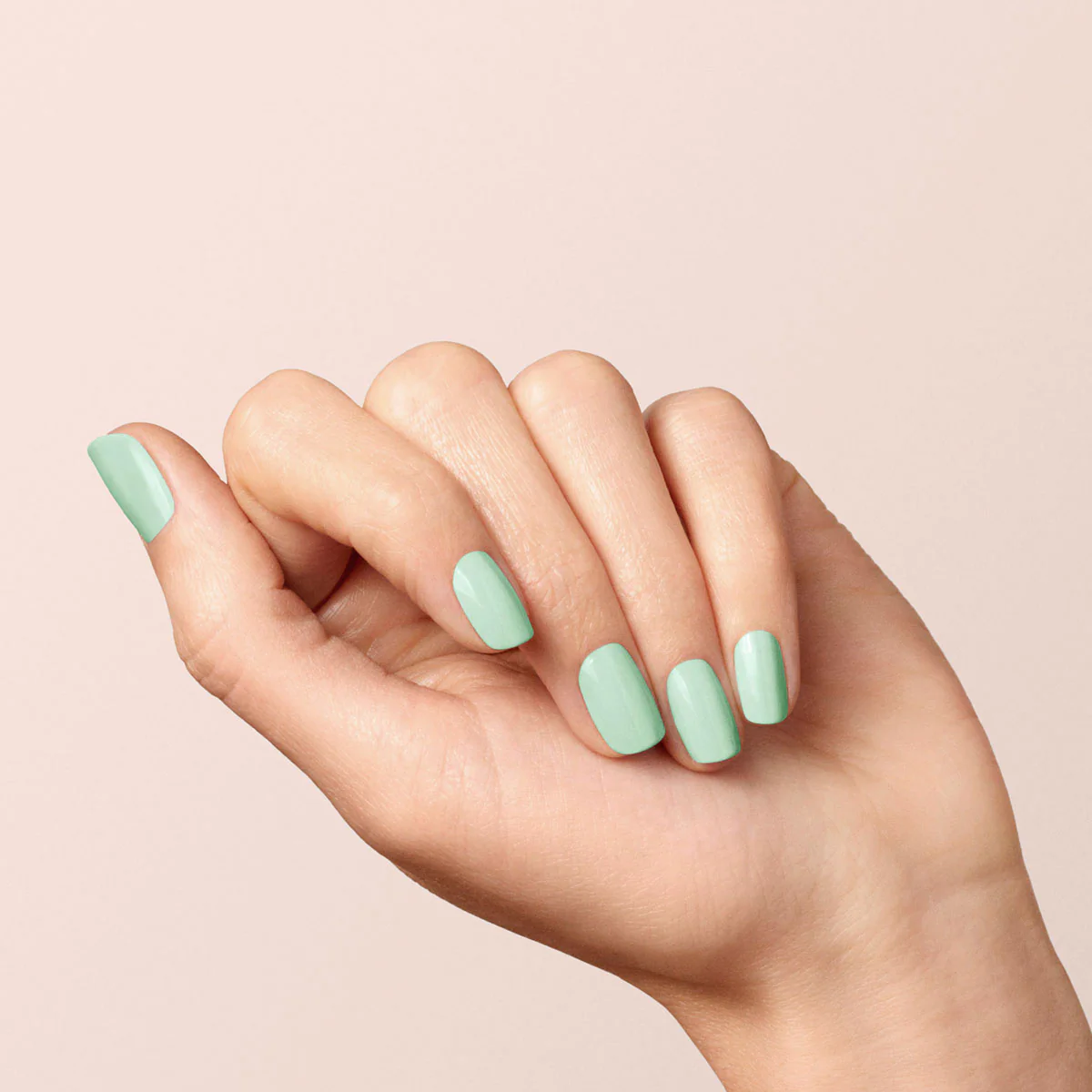 Mint - Image 8