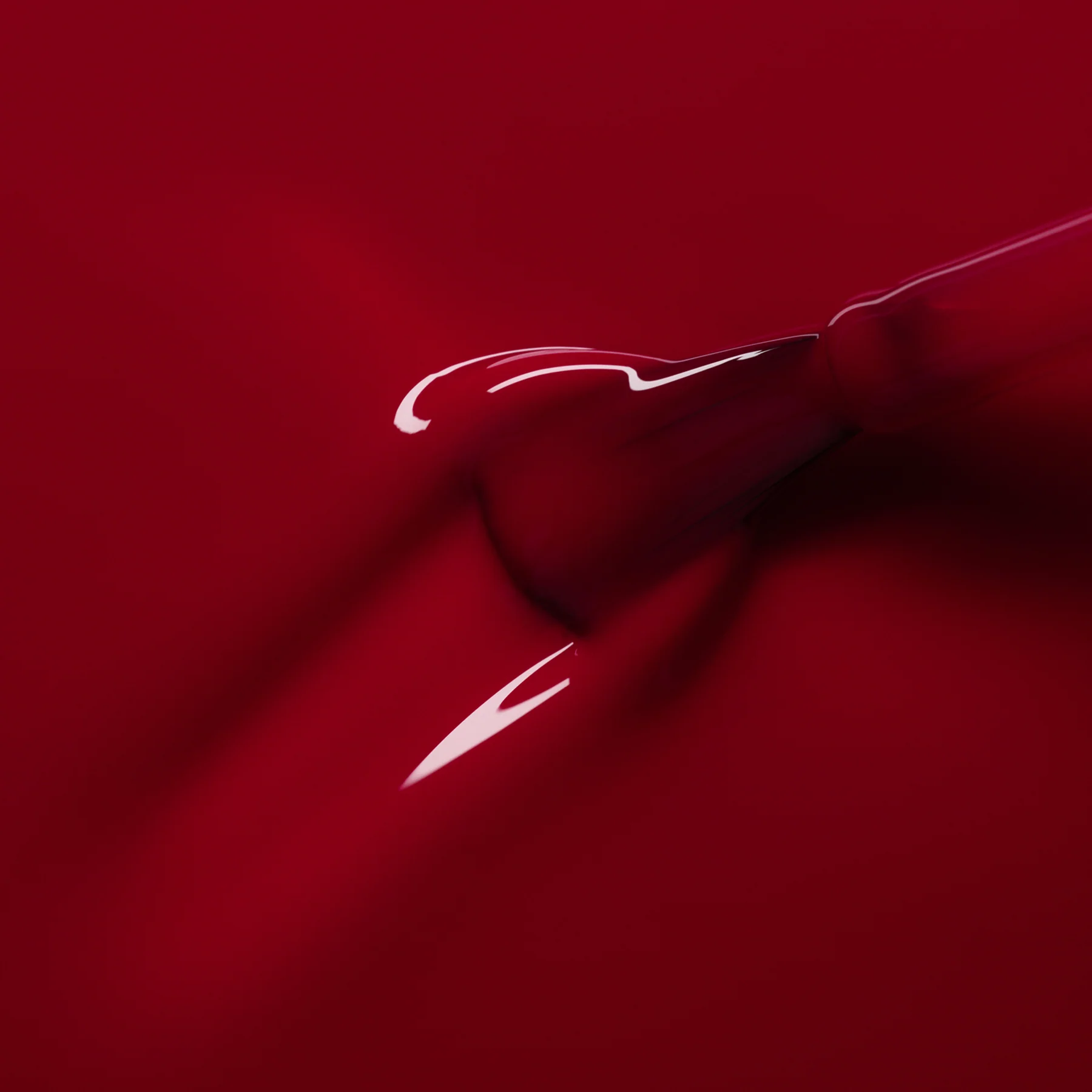 Pomegranate - Image 6