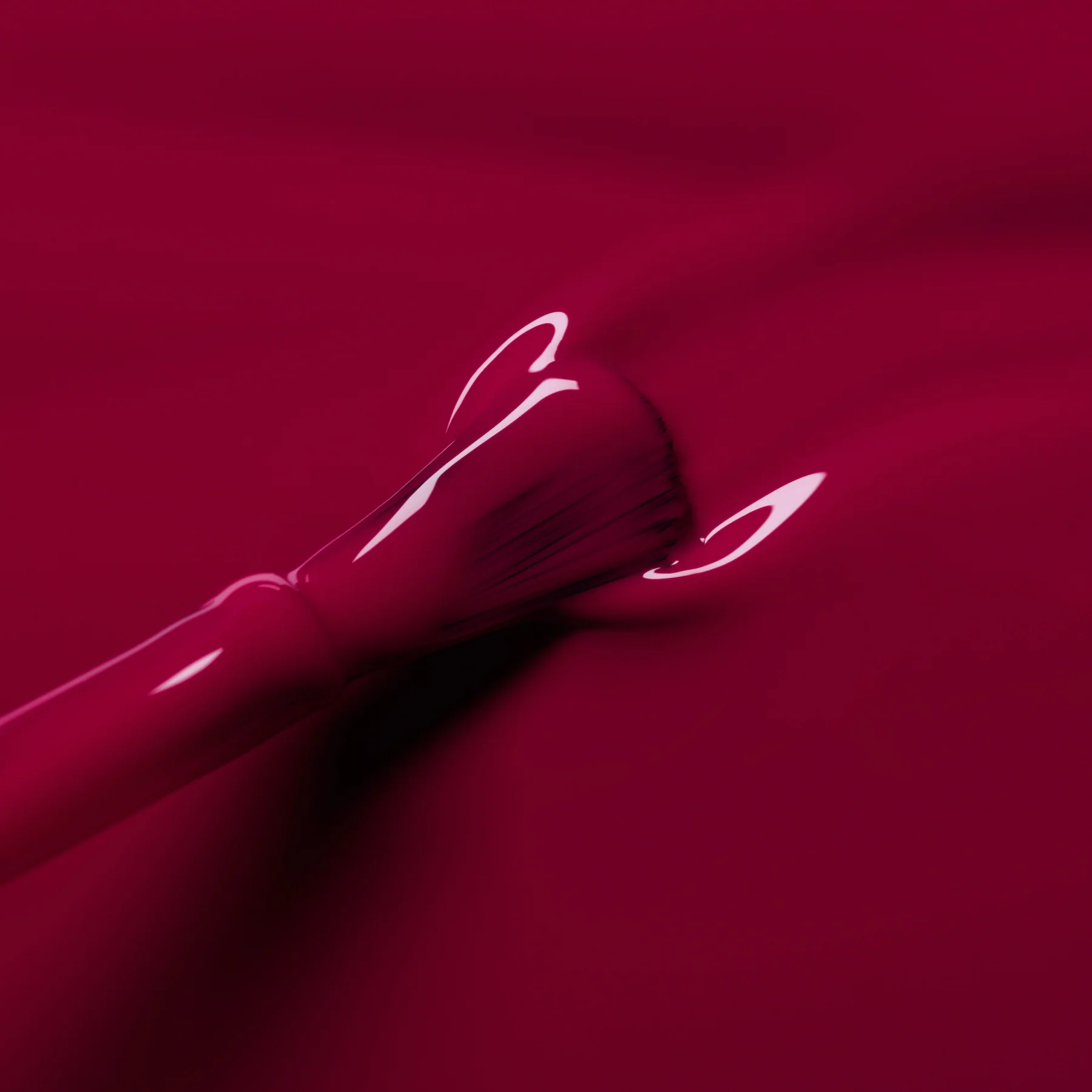Violeta - Image 5