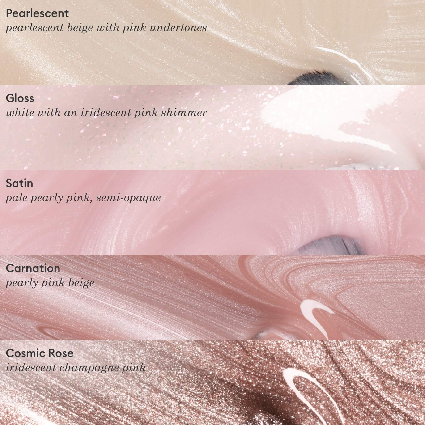Carnation - Image 6