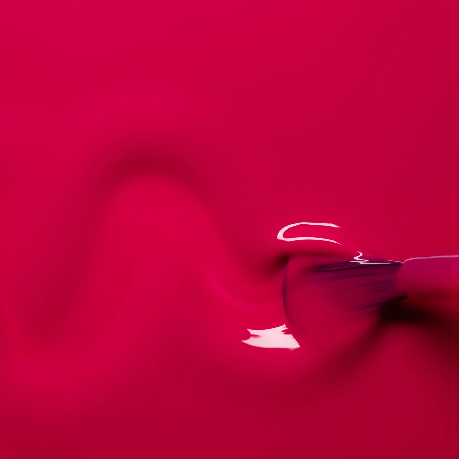 Fuchsia - Image 3
