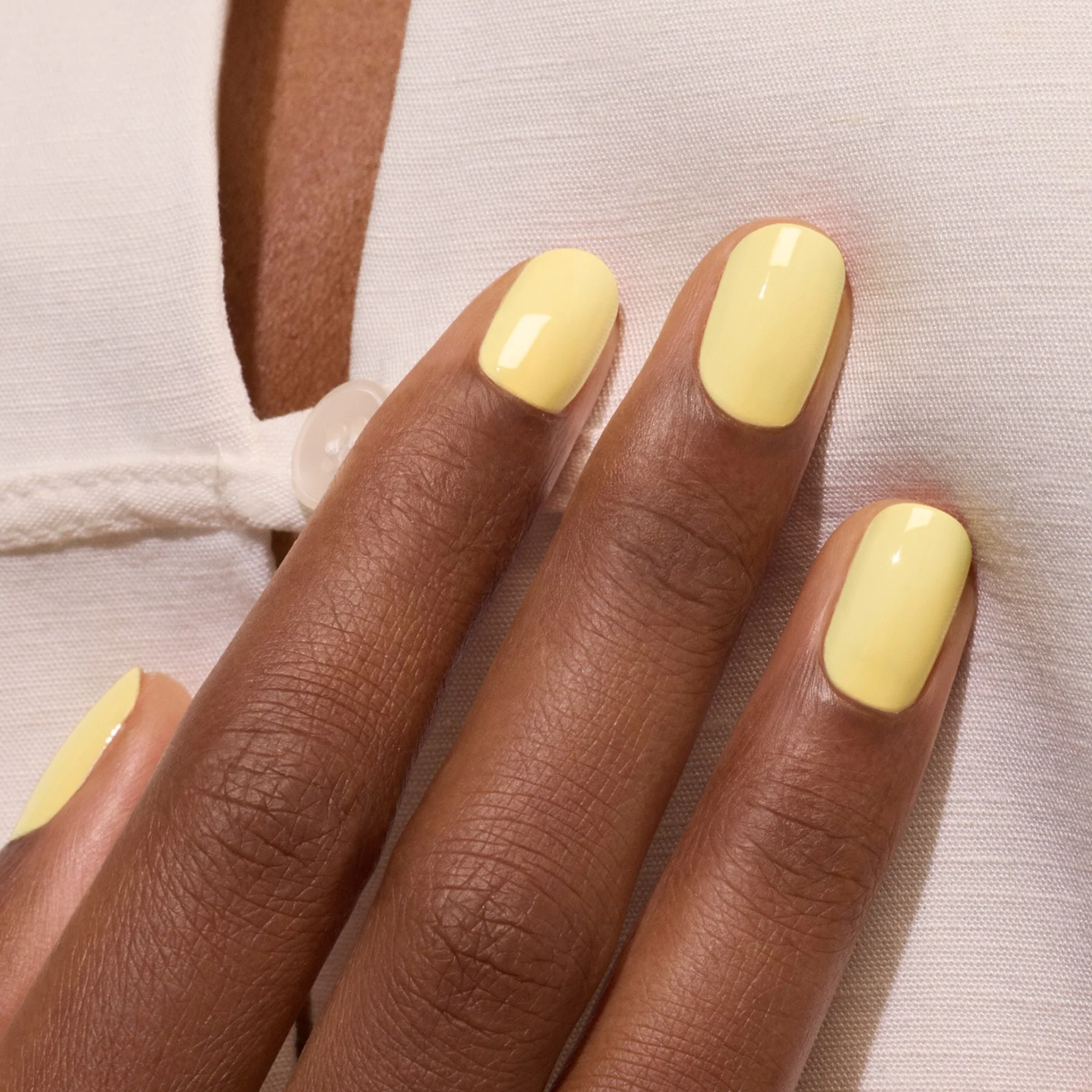 Mimosa - Image 2