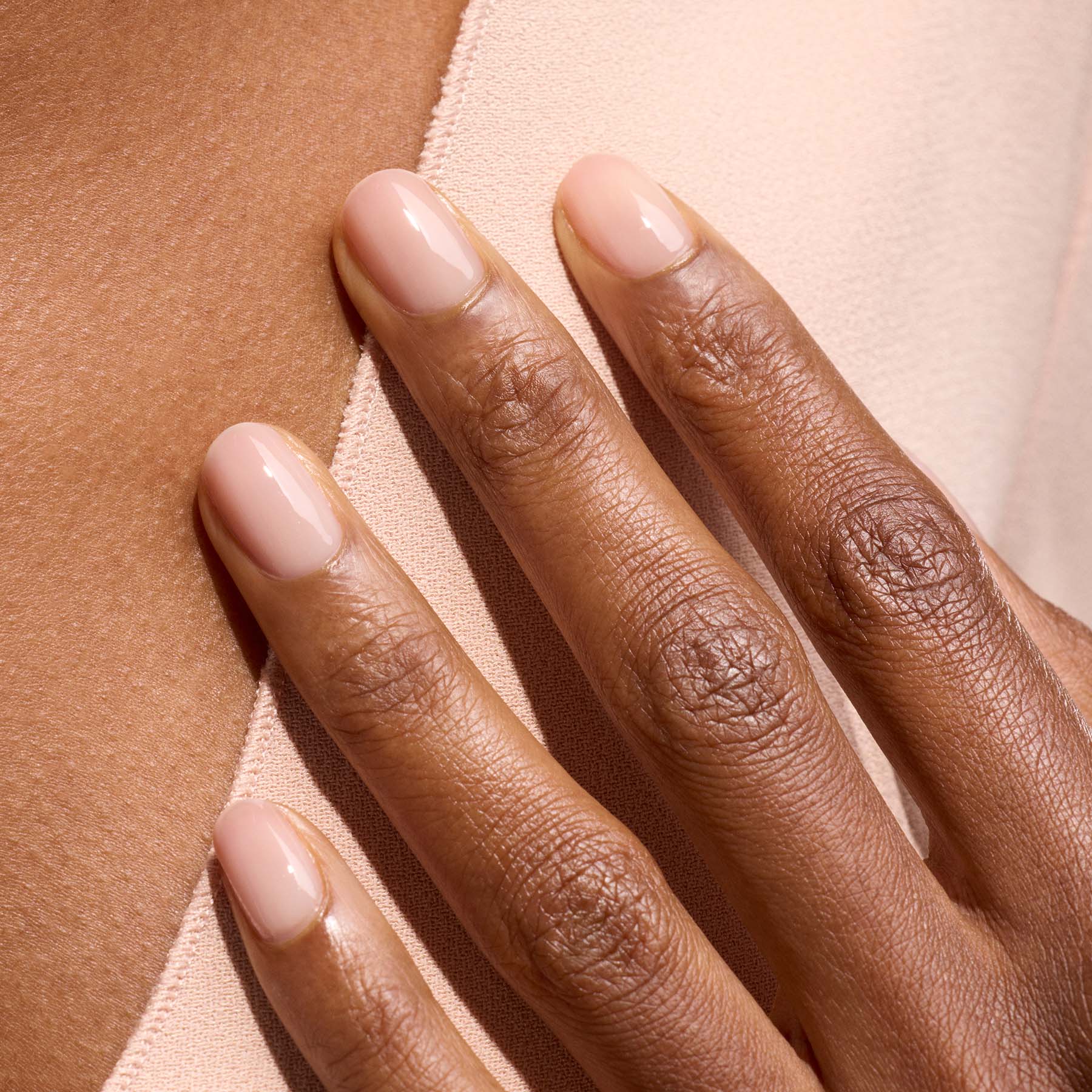 Pale Rose - Image 9