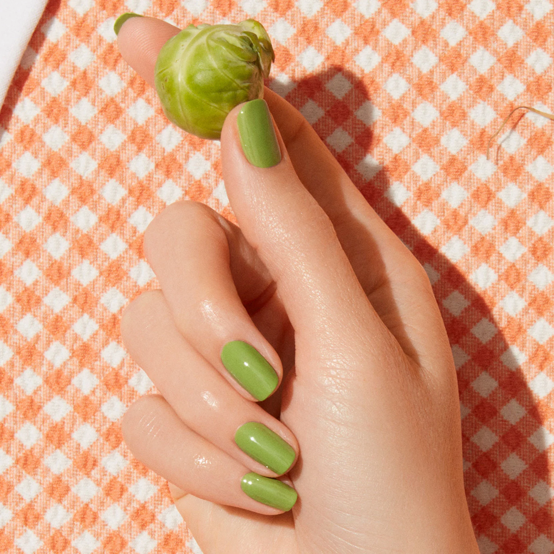 Sweet Pea - Image 10