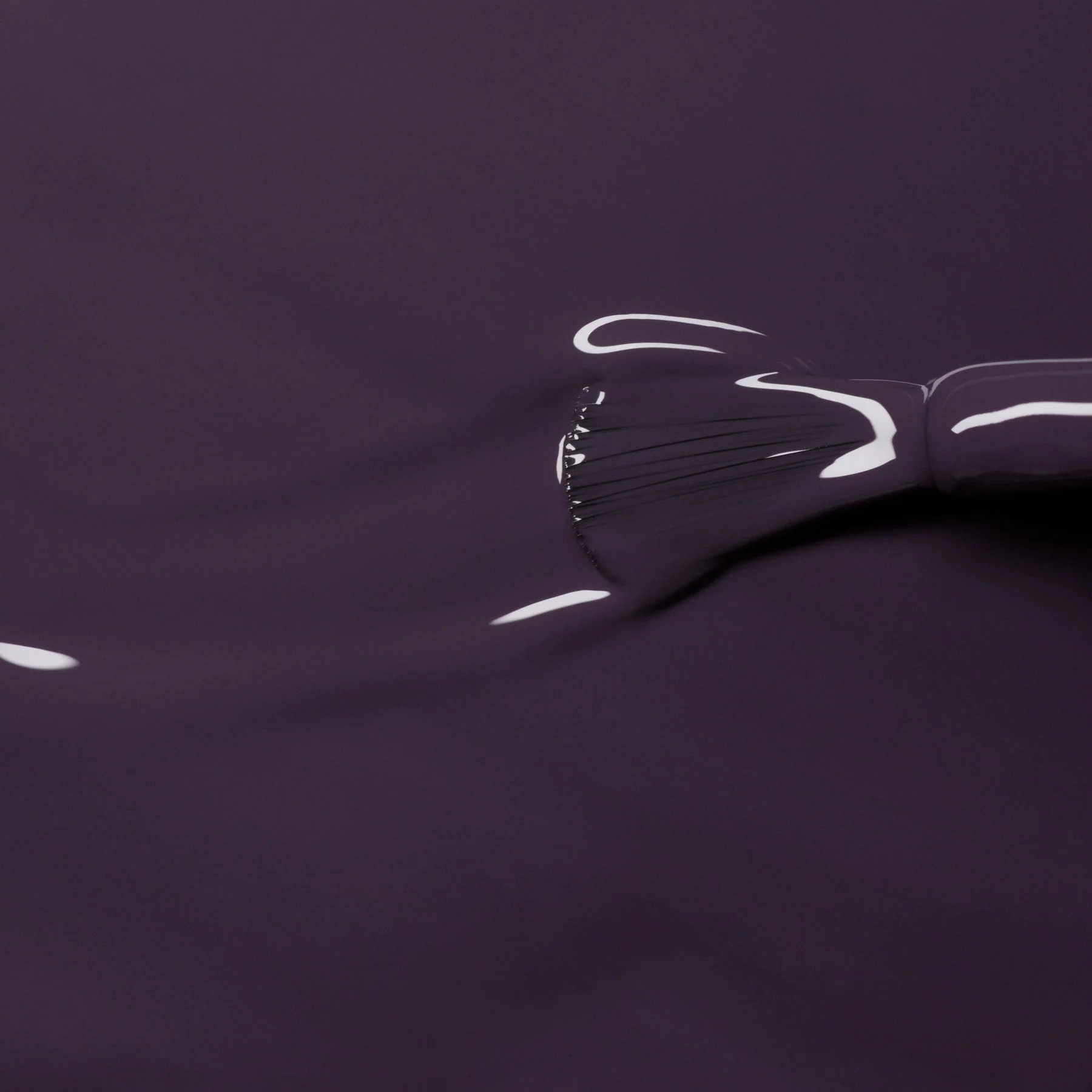 Queen of Night - Image 5