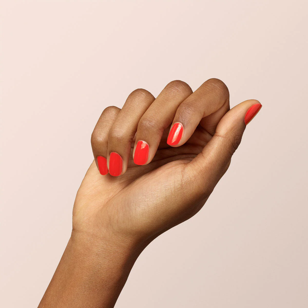 Red Coral - Image 13