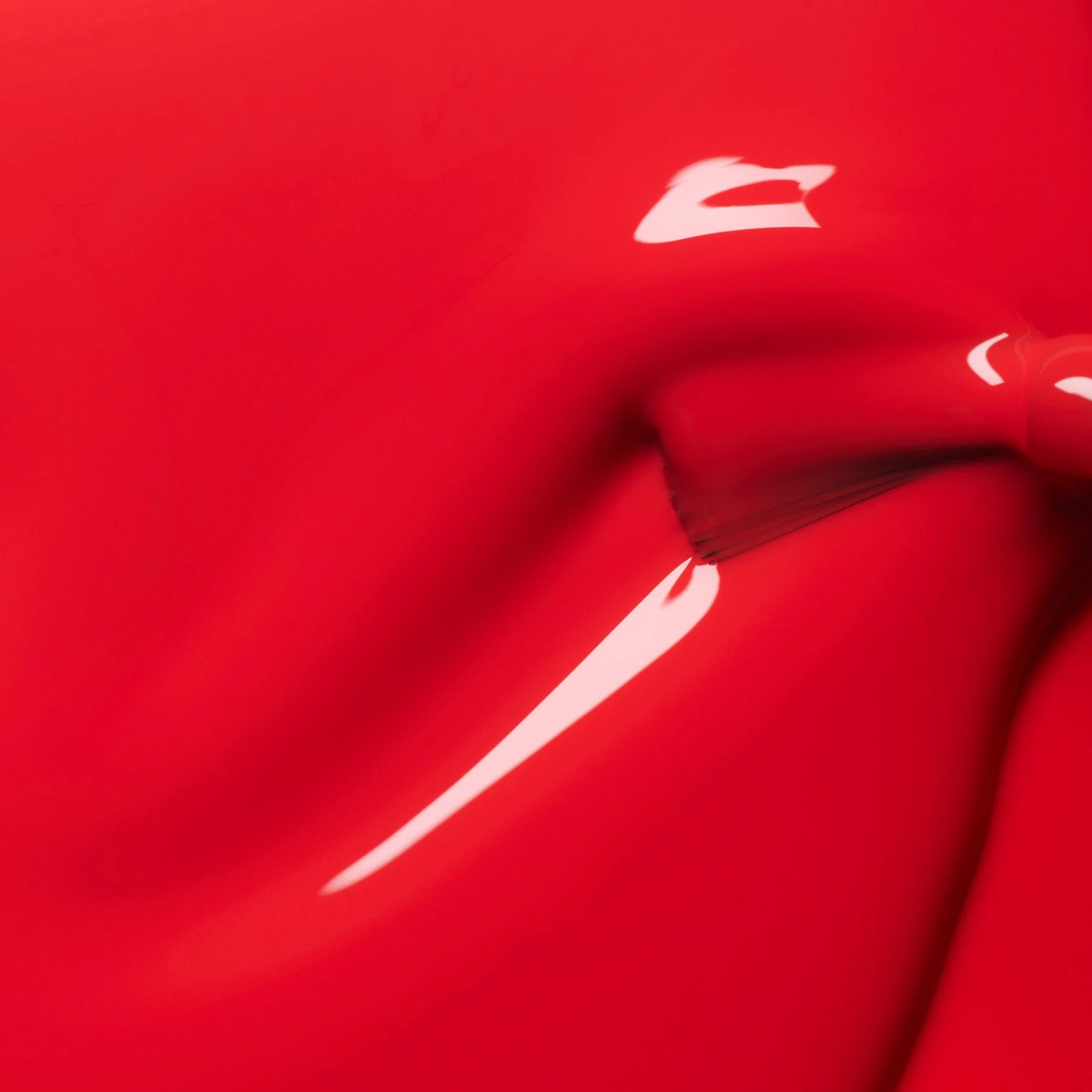 Red Coral - Image 3