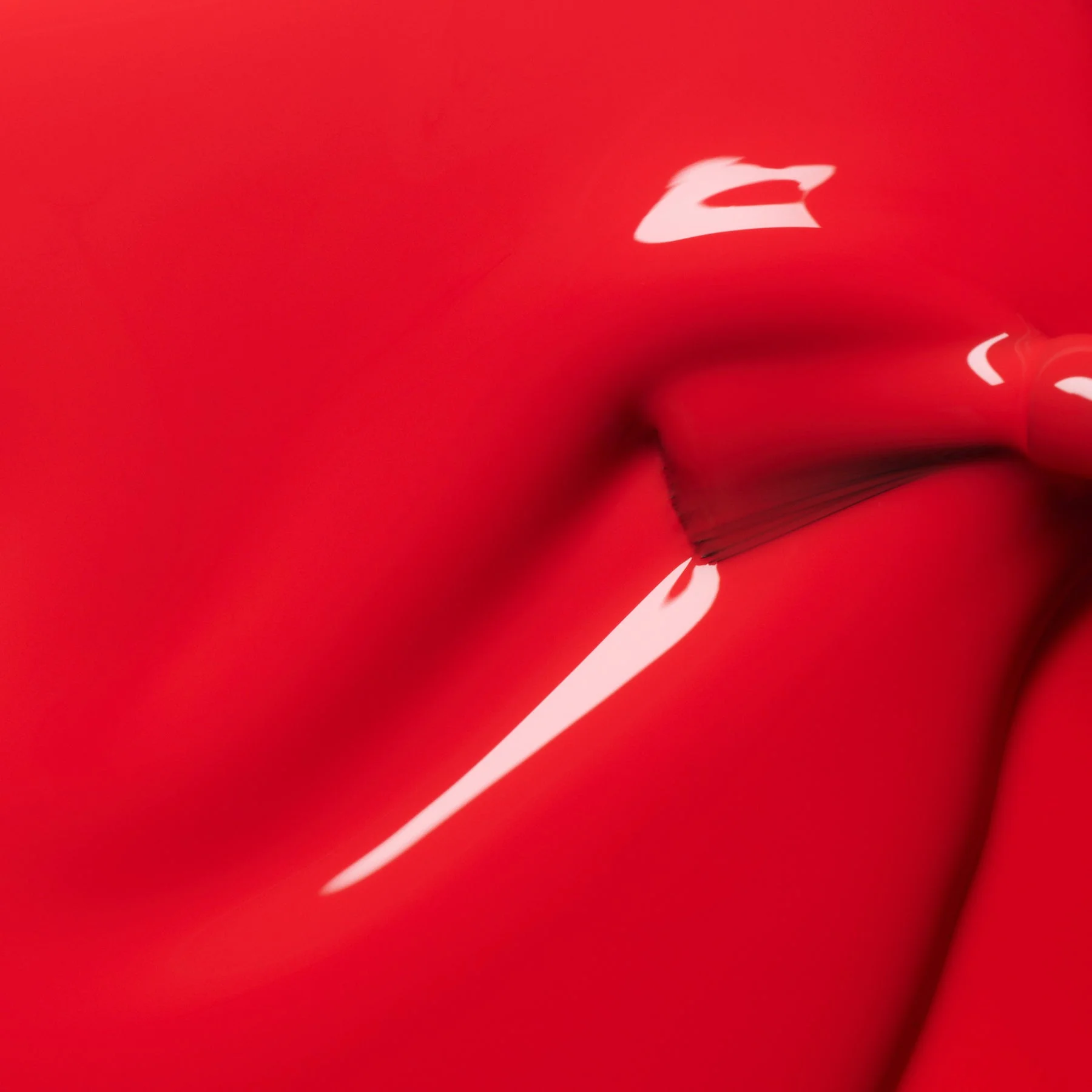Red Coral - Image 4