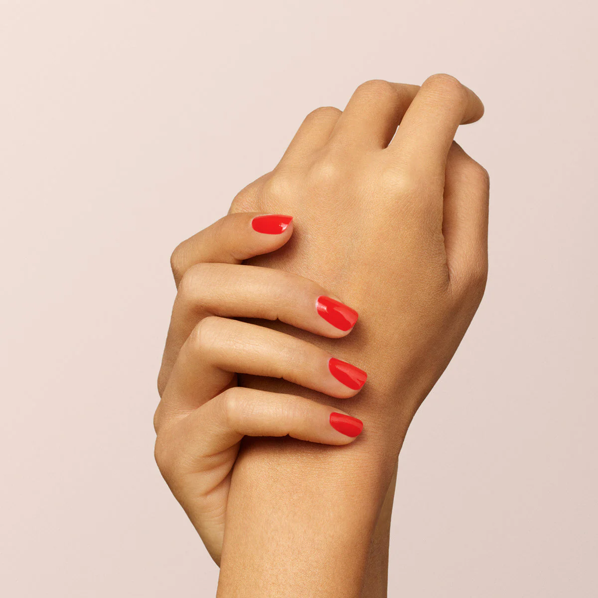 Red Coral - Image 9