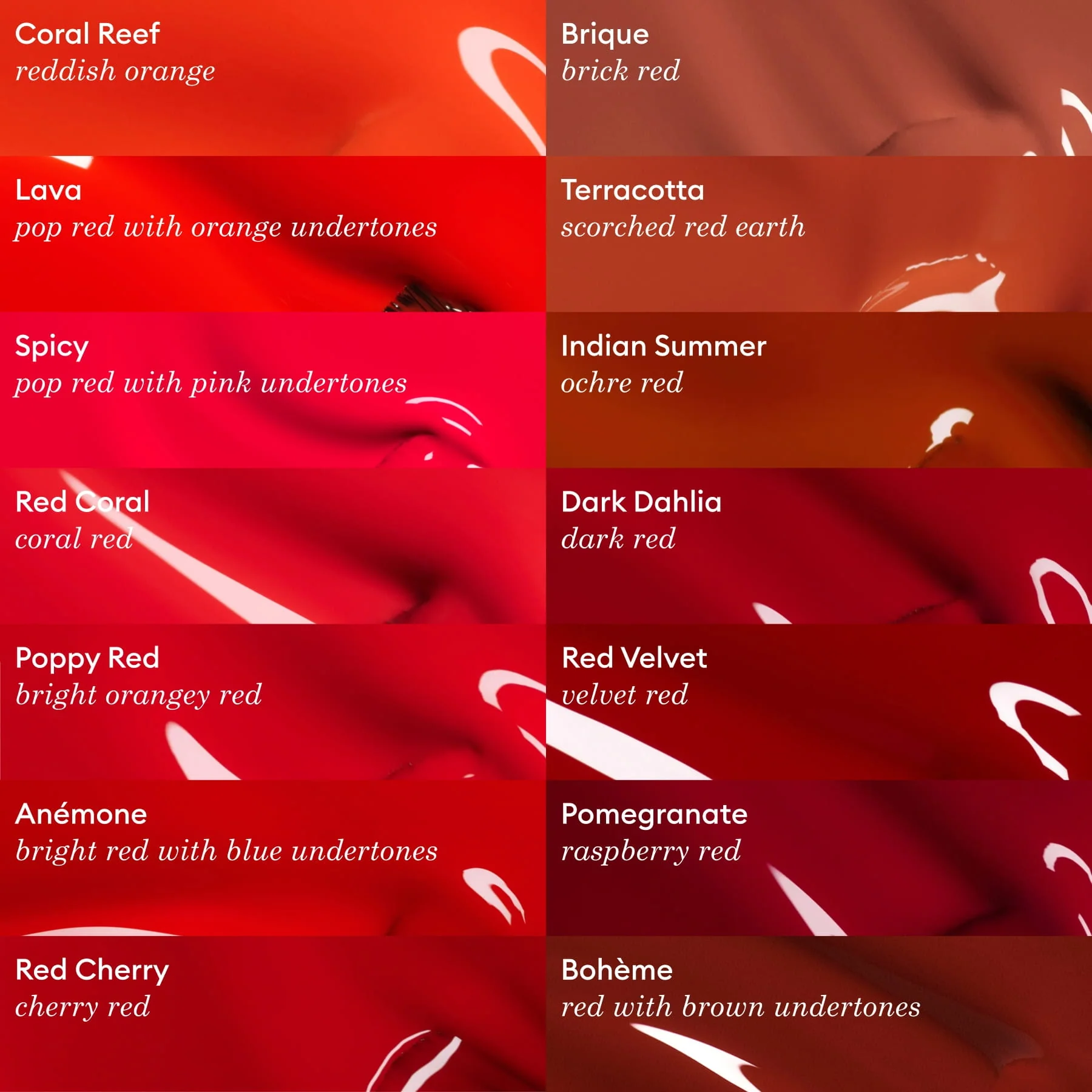 Coral Reef - Image 6